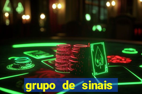 grupo de sinais trader telegram